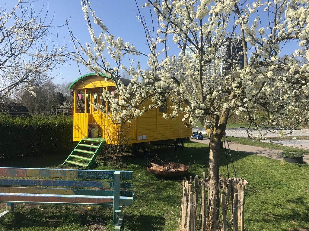 De Moestuin Utrecht